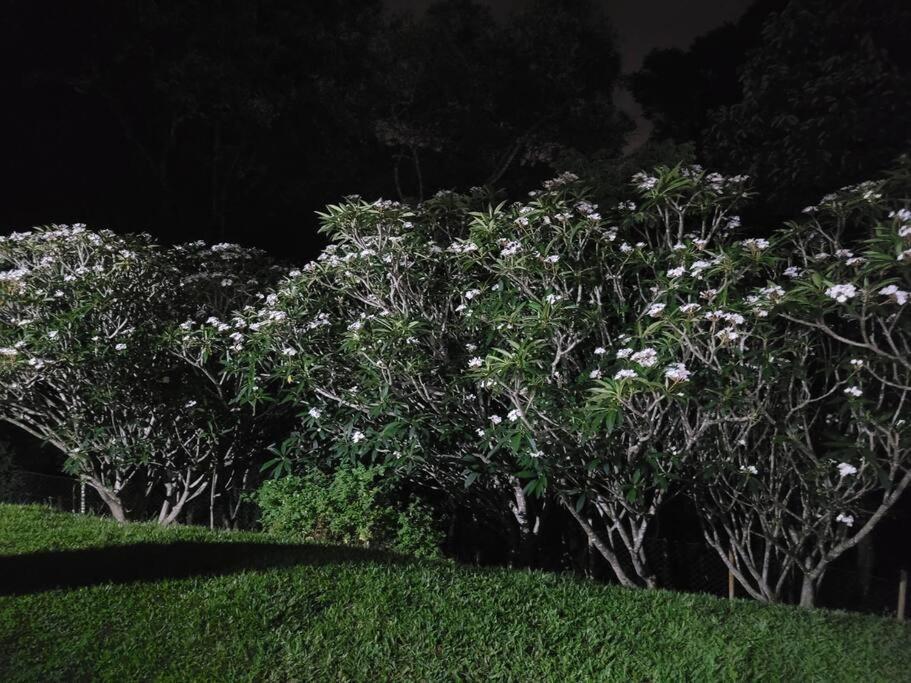 Chacara Dos Sonhos Em Mairipora Villa Luaran gambar